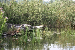 Killikus&reg; Fotographie